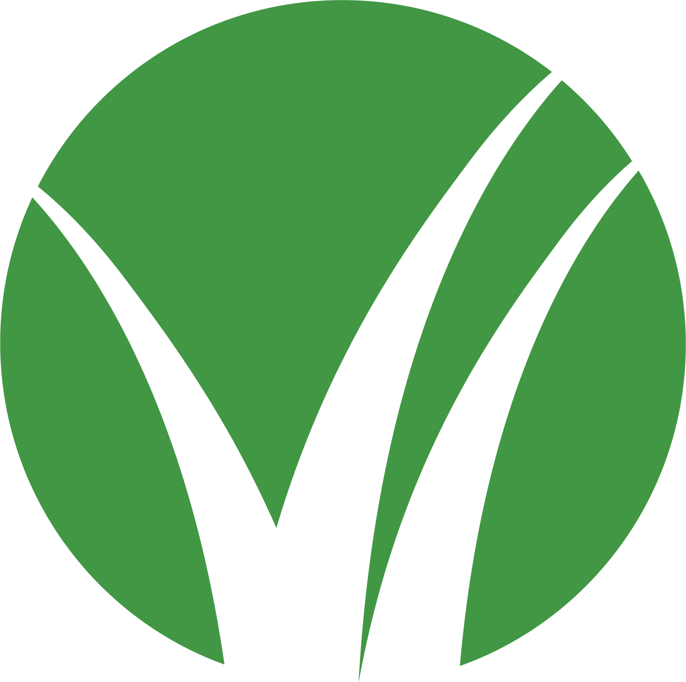BHGRE_bug_5 in x 5 in